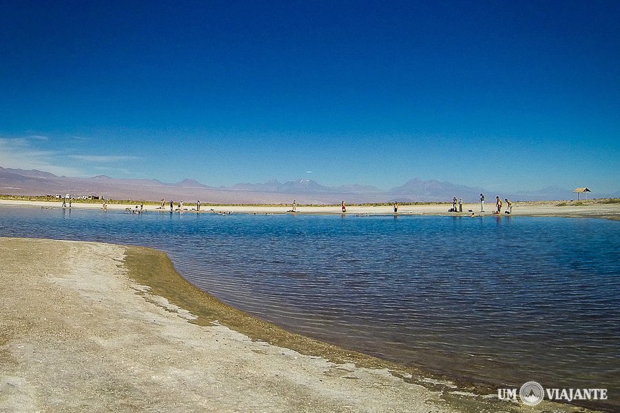 Laguna Cejar