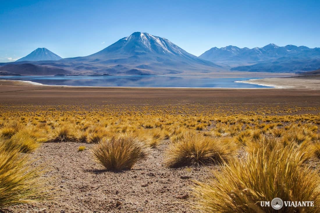 Laguna Miscanti, Lagunas Altiplânicas - Chile