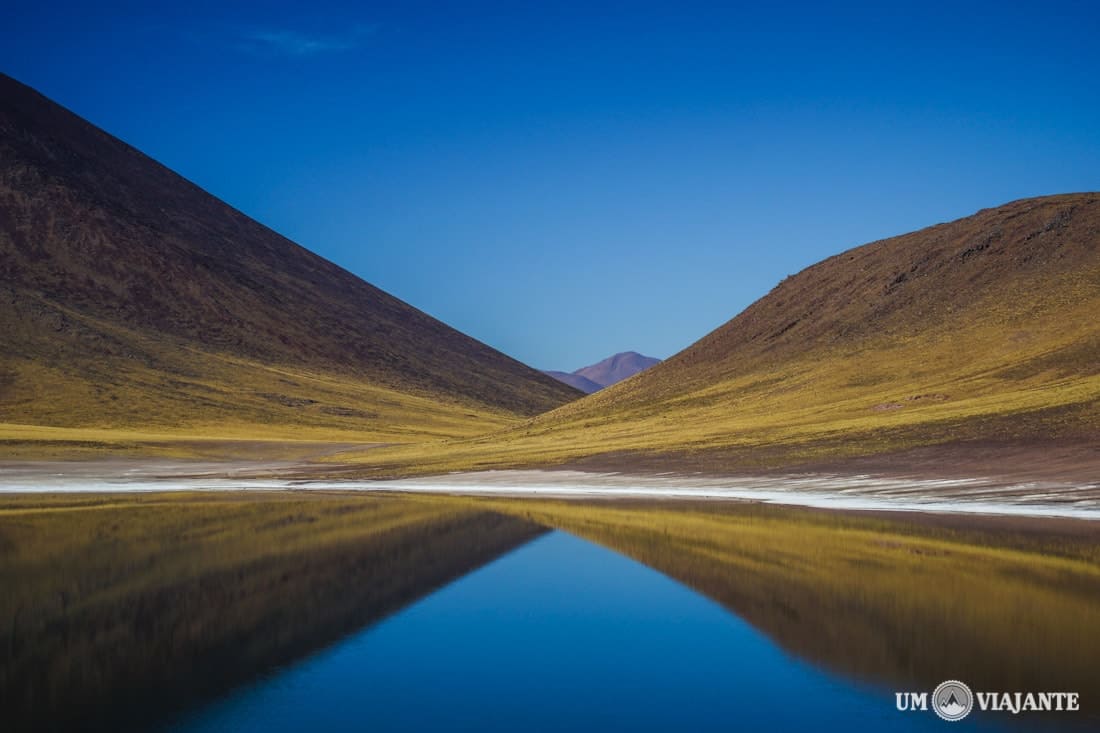 Laguna Miñique - Lagunas Altiplânicas, Chile