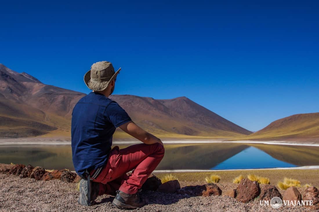 Laguna Miñique - Lagunas Altiplânicas, Chile