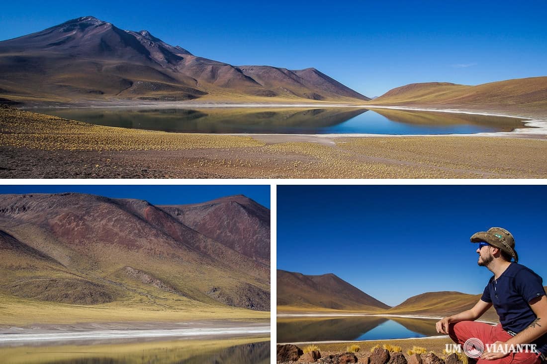 Laguna Miñique - Lagunas Altiplânicas, Chile