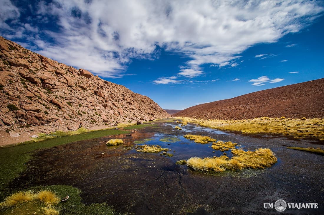 Atacama - El Tatio