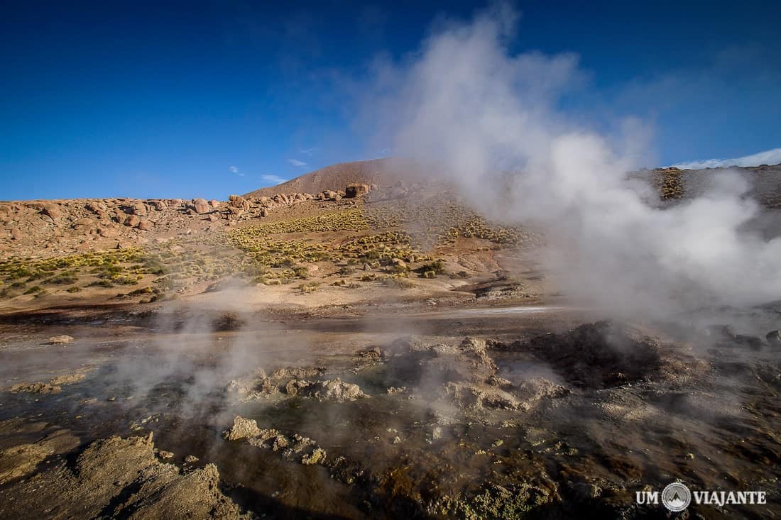 Geysers el Tatio