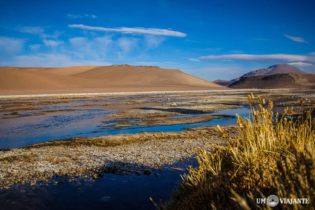 Salar de Aguas Calientes