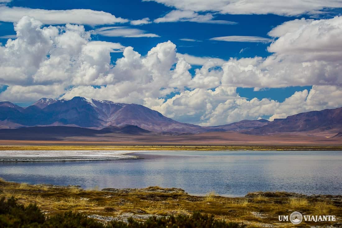 Salar de Tara - Atacama