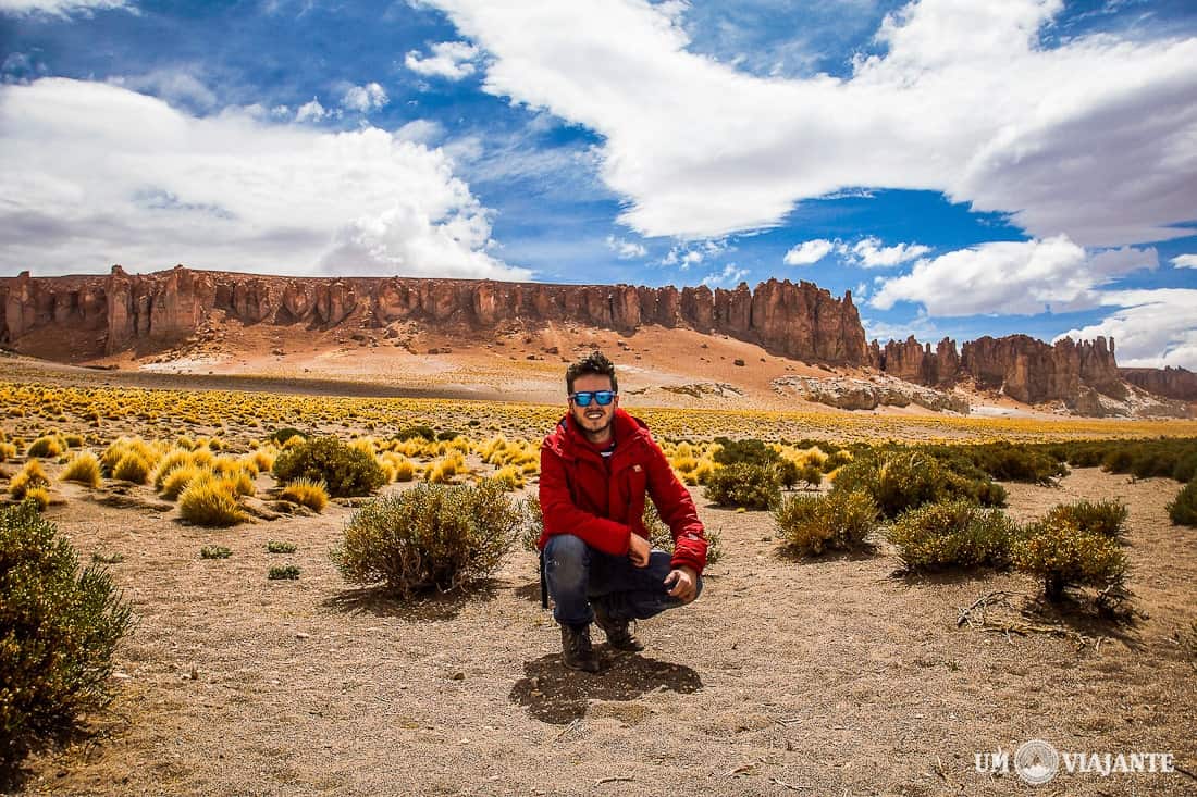 Salar de Tara, Atacama