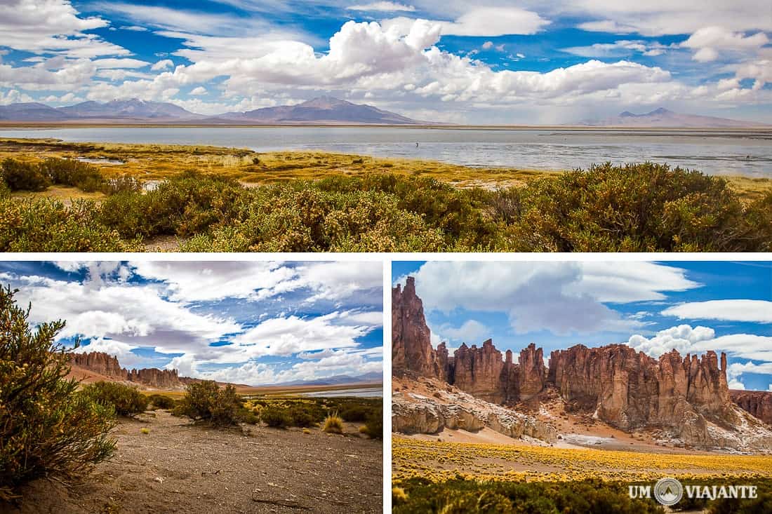 Salar de Tara - Atacama