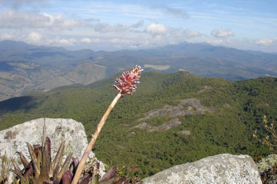 Gonçalves, Minas Gerais