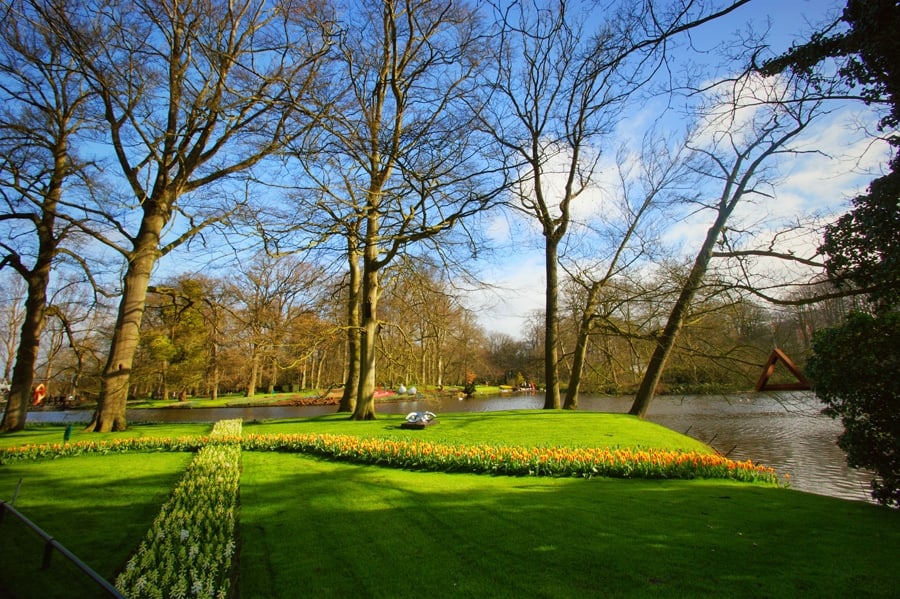 Keukenhof, o parque das tulipas