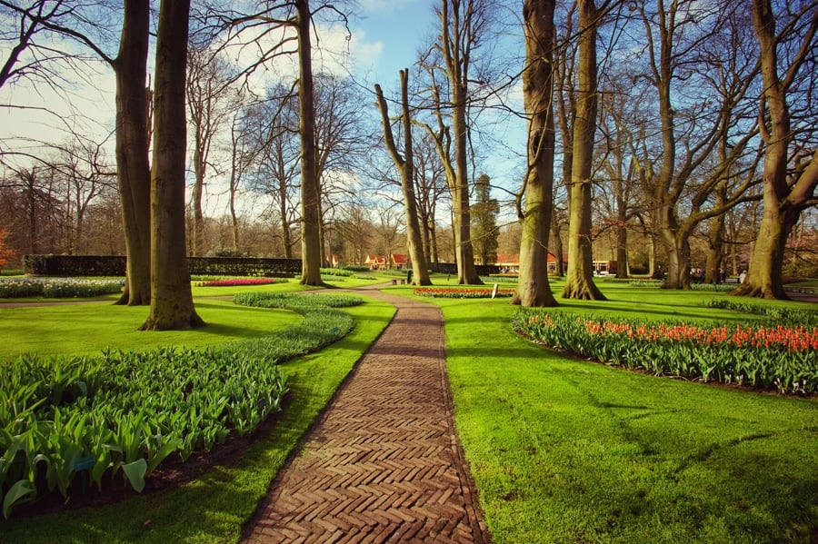 Keukenhof, o parque das tulipas