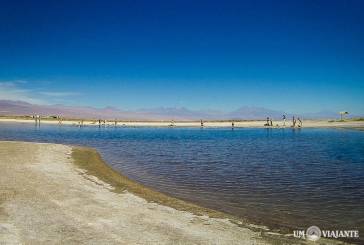 Laguna Cejar, Ojos del Salar e Laguna Tebinquinche – Mochilão Chile, Segundo dia – Tarde