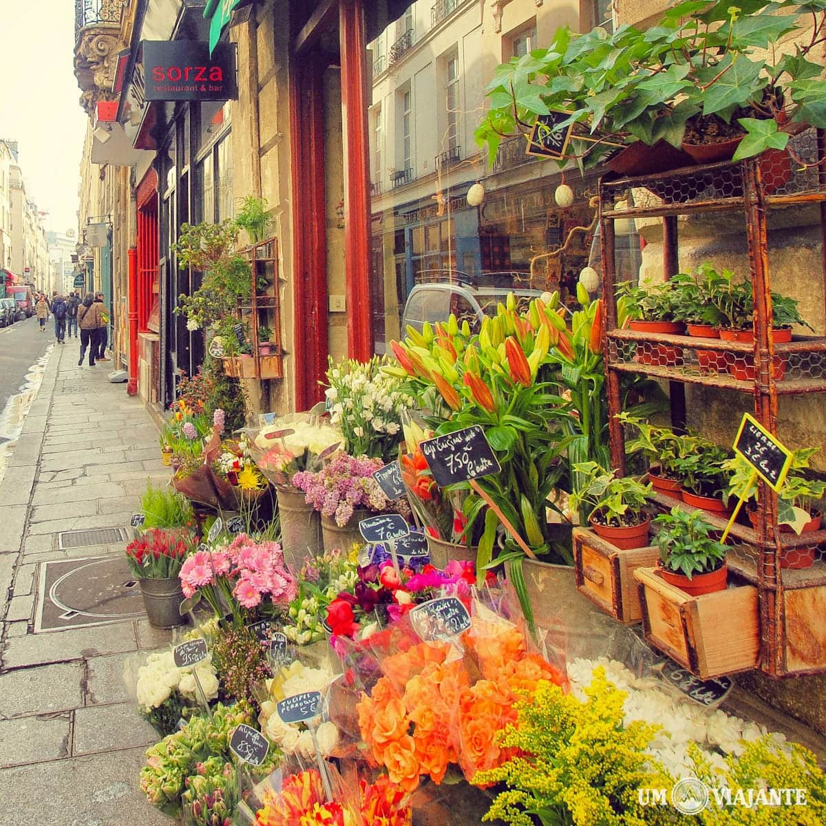 Loja de Flores Paris