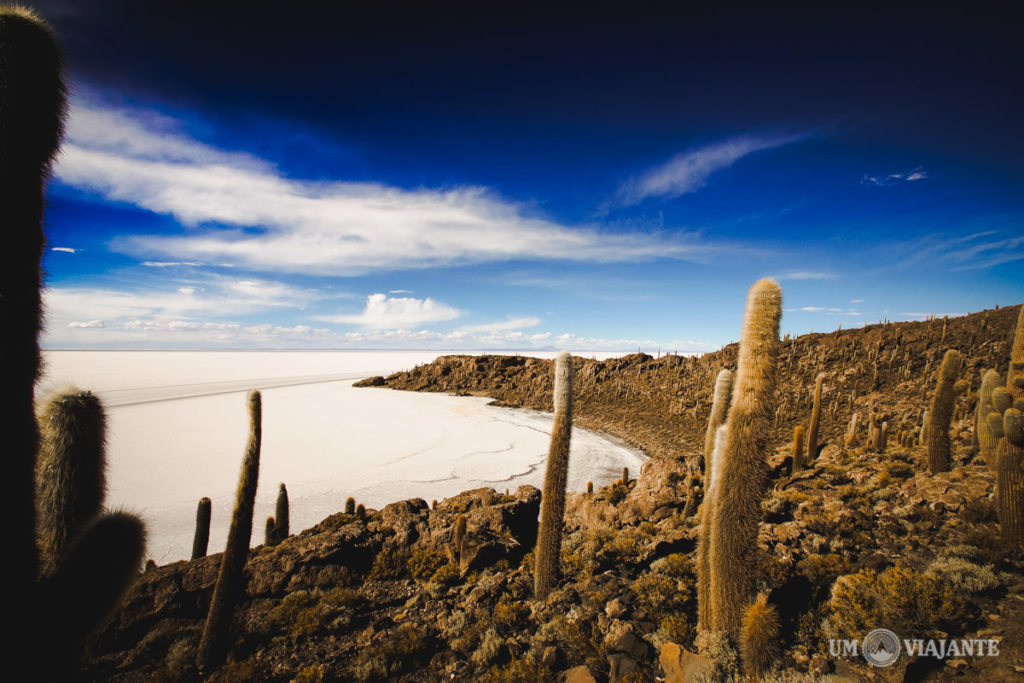 Ilha de Cactus, Salar de Uyuni - Bolívia