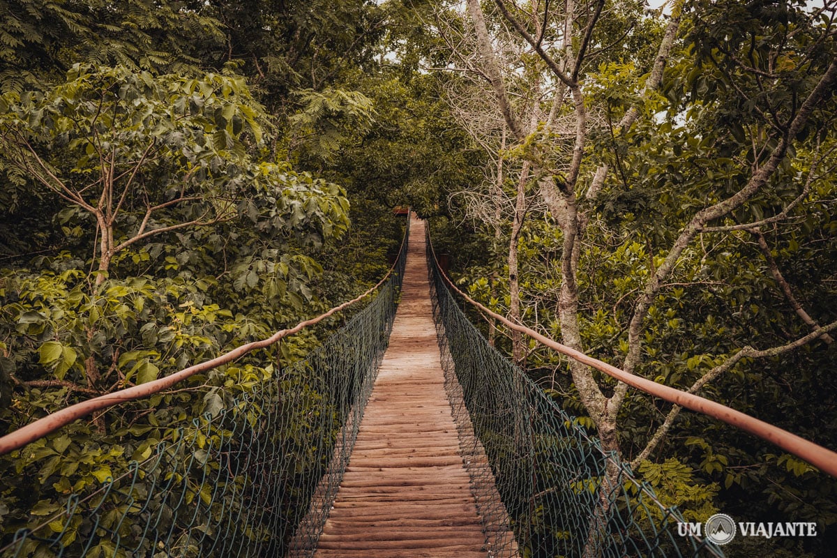 Gruta São Miguel, em Bonito