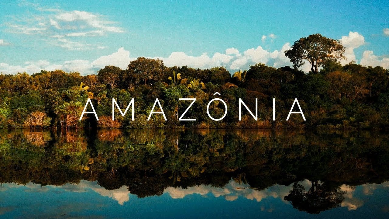 Descubra a Amazônia com Um Viajante Um Viajante