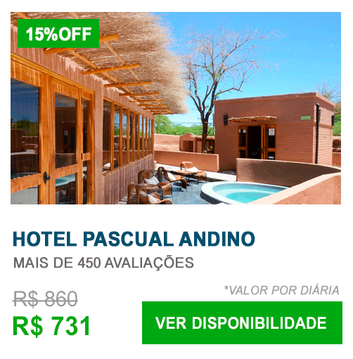 Hotel Pascual Andino
