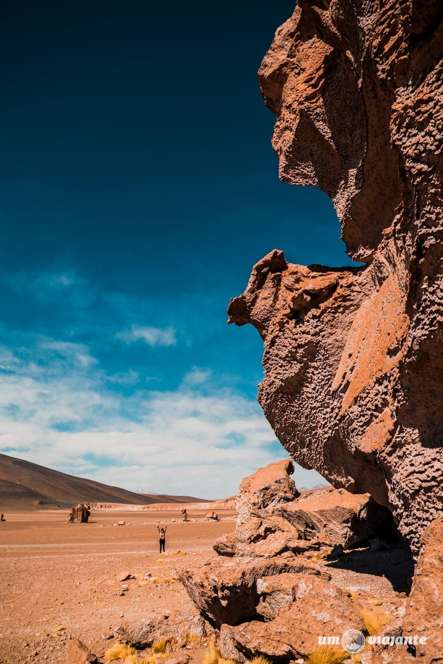 Lagunas Andinas - Salar de Tara - Deserto do Atacama, Chile