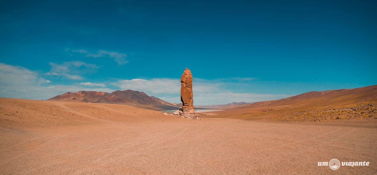 Moai de Tara - Salar de Tara, Atacama