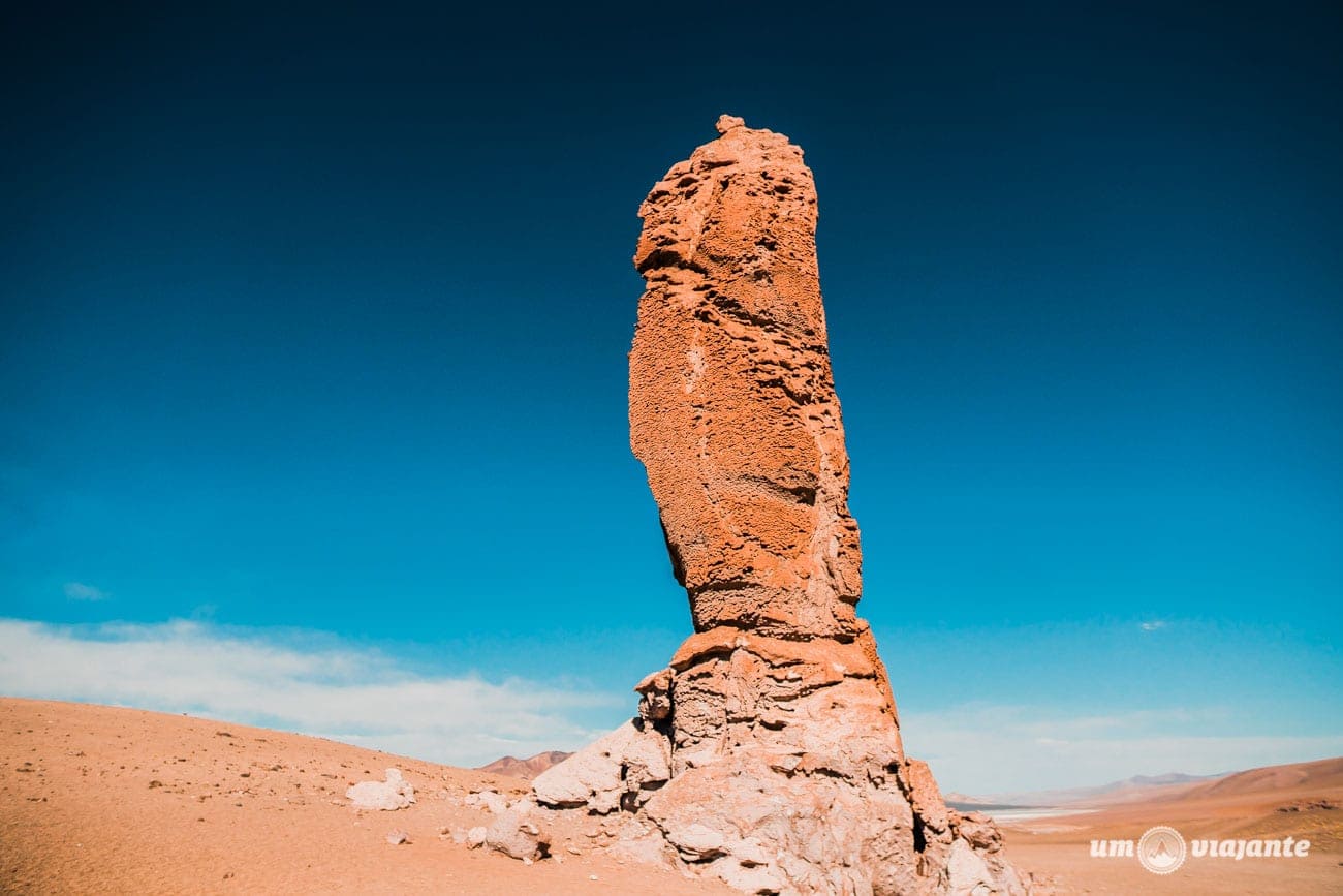 Moai de Tara - Salar de Tara, Atacama