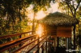 Juma Amazon Lodge: como é a estadia em um hotel de selva na Amazônia