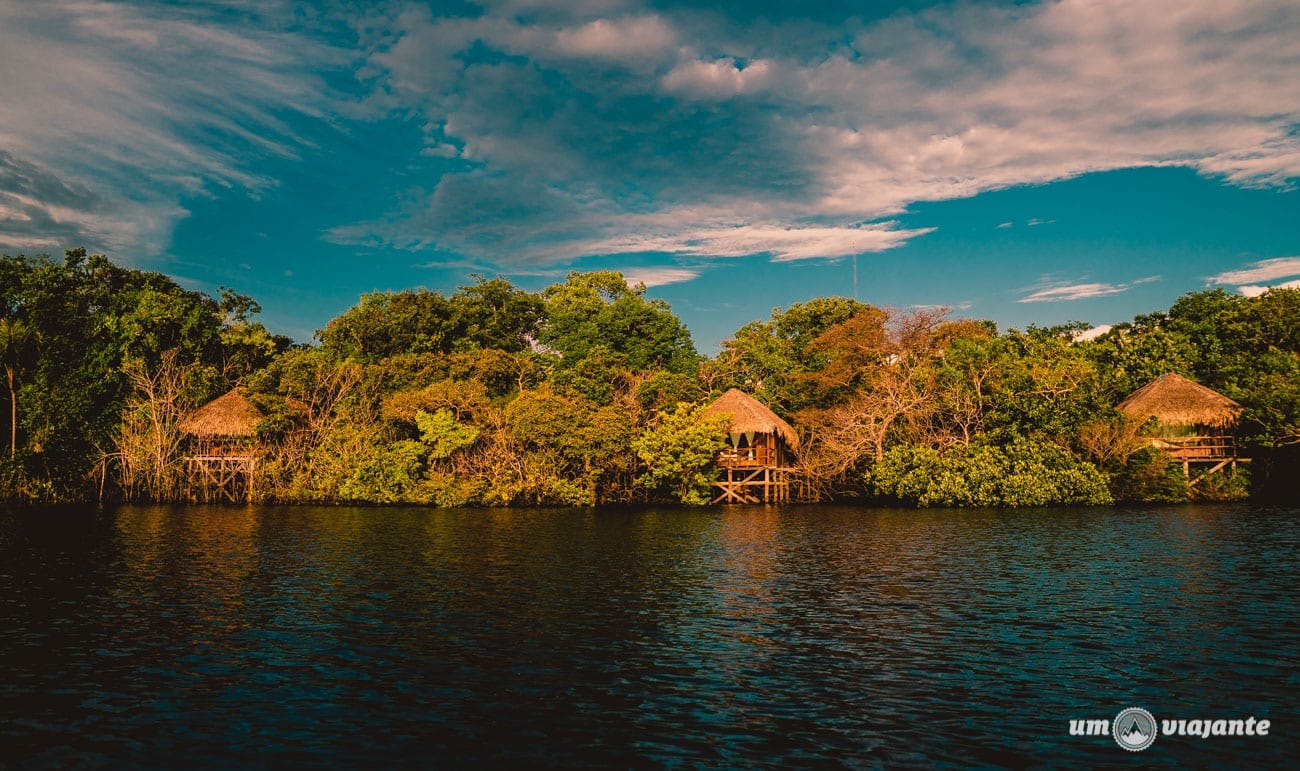 Juma Amazon Lodge - Hotel de selva na Amazônia
