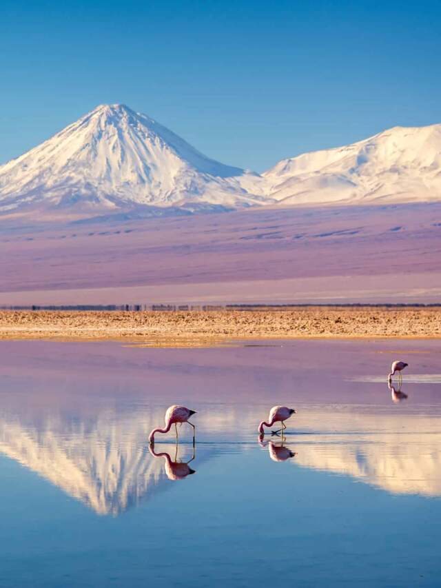 cropped-entrada-chile-requisitos-seguro-viagem.jpg