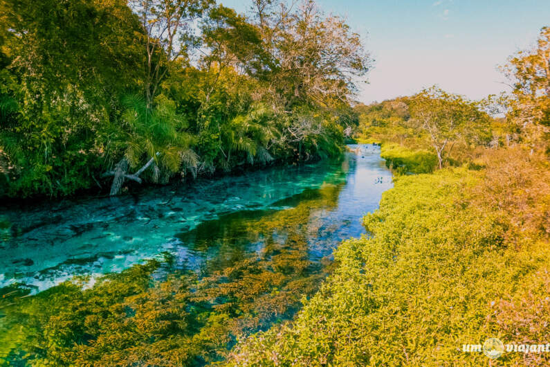 Qual a melhor agência de Bonito-MS? Dica certa para fechar os melhores passeios!