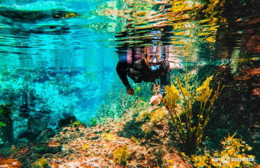 Flutuação em Bonito MS - Nascente Azul