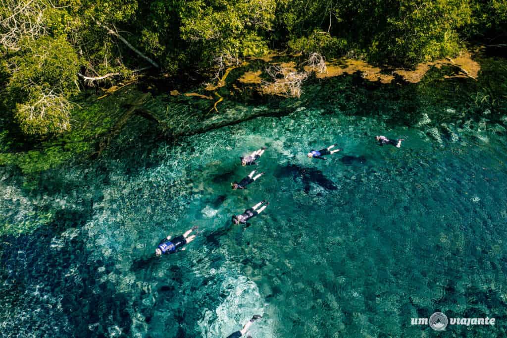 Passeio Flutuação no Rio da Prata