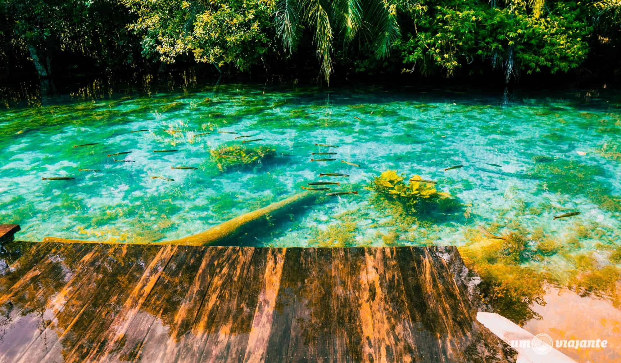 18 Dicas de BONITO MS para sua primeira viagem Um Viajante