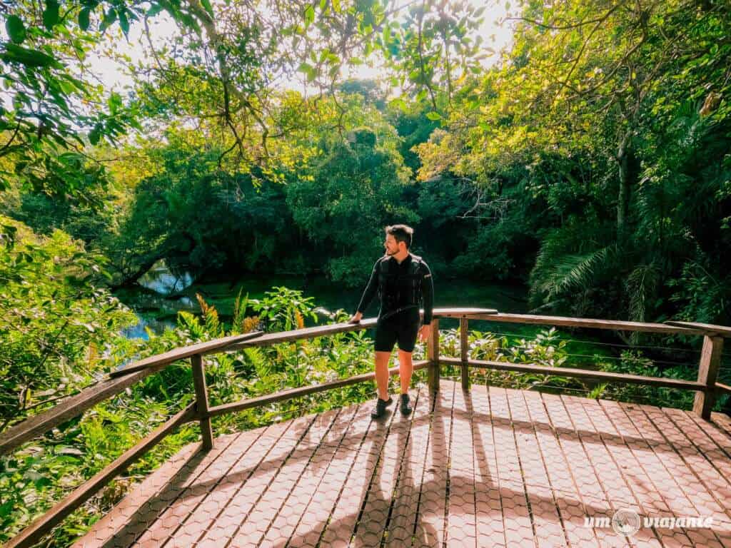 Big Tour - Melhor agência de Bonito fechar seus passeios