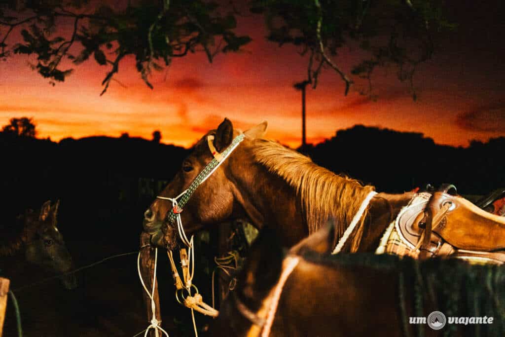 Passeio a Cavalo em Bonito - Cavalgada