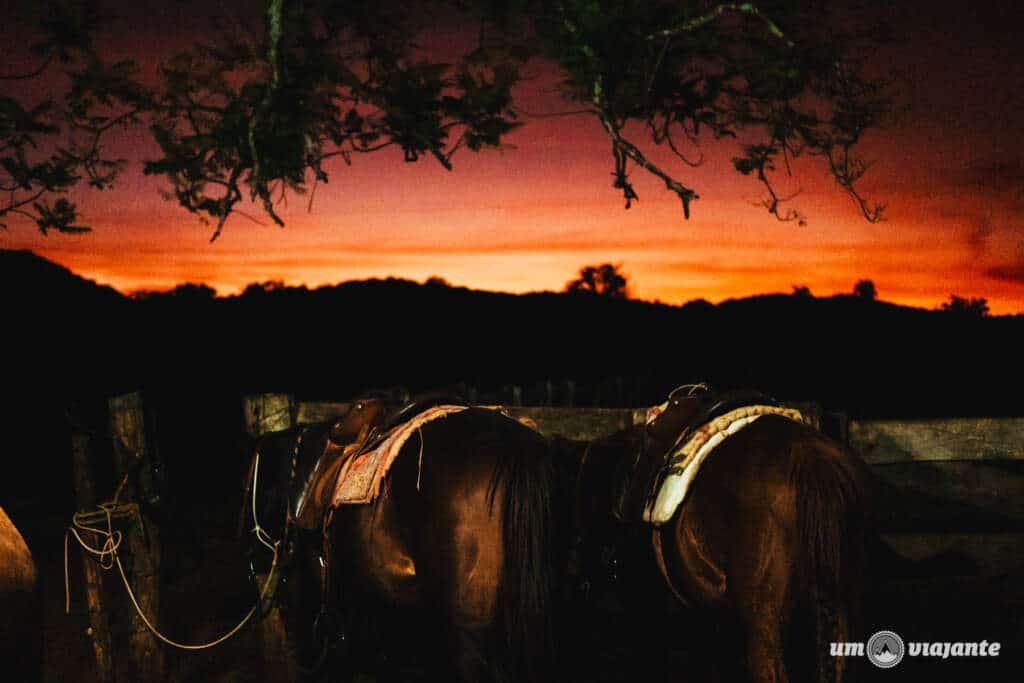 Passeio a Cavalo em Bonito - Cavalgada