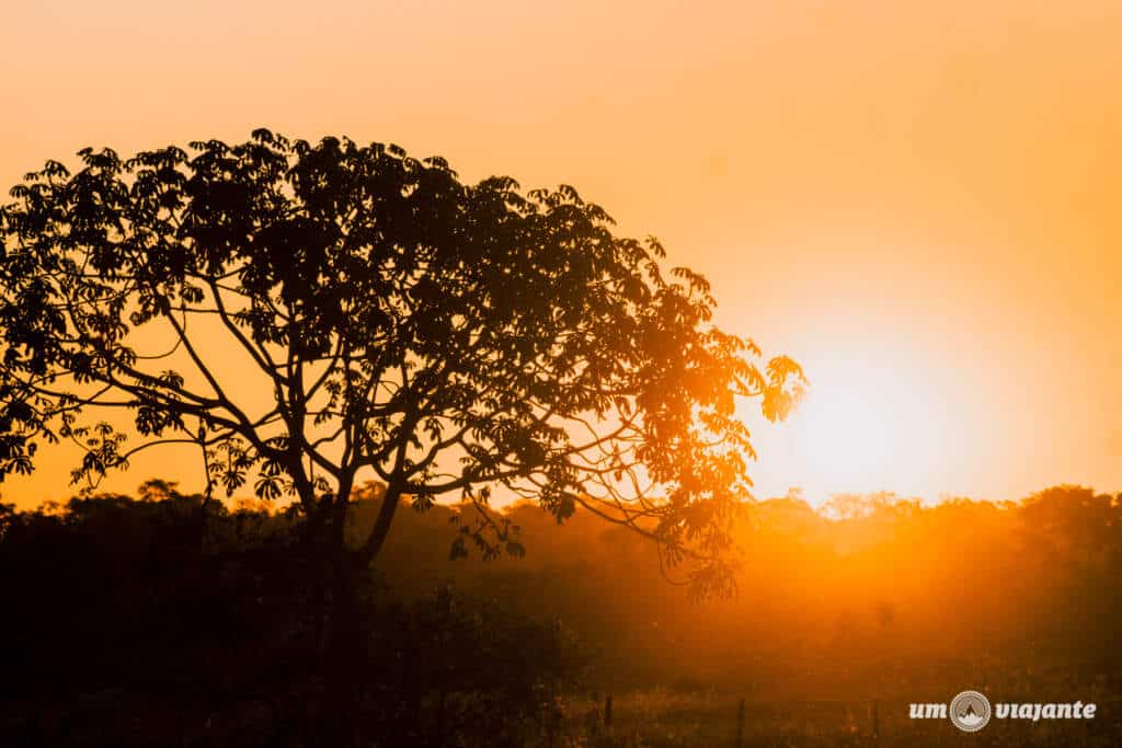 Amanhecer no Pantanal - Pousada Aguapé - MS