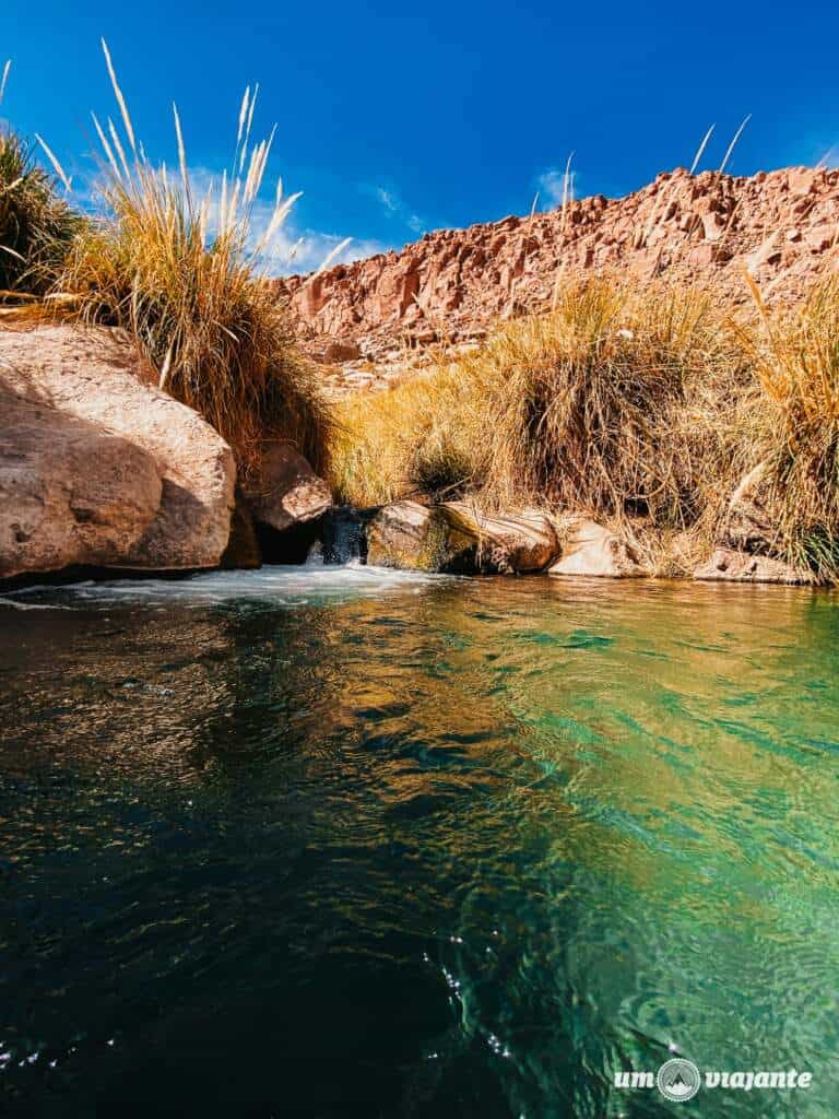 Lua de Mel Atacama: Termas de Puritama