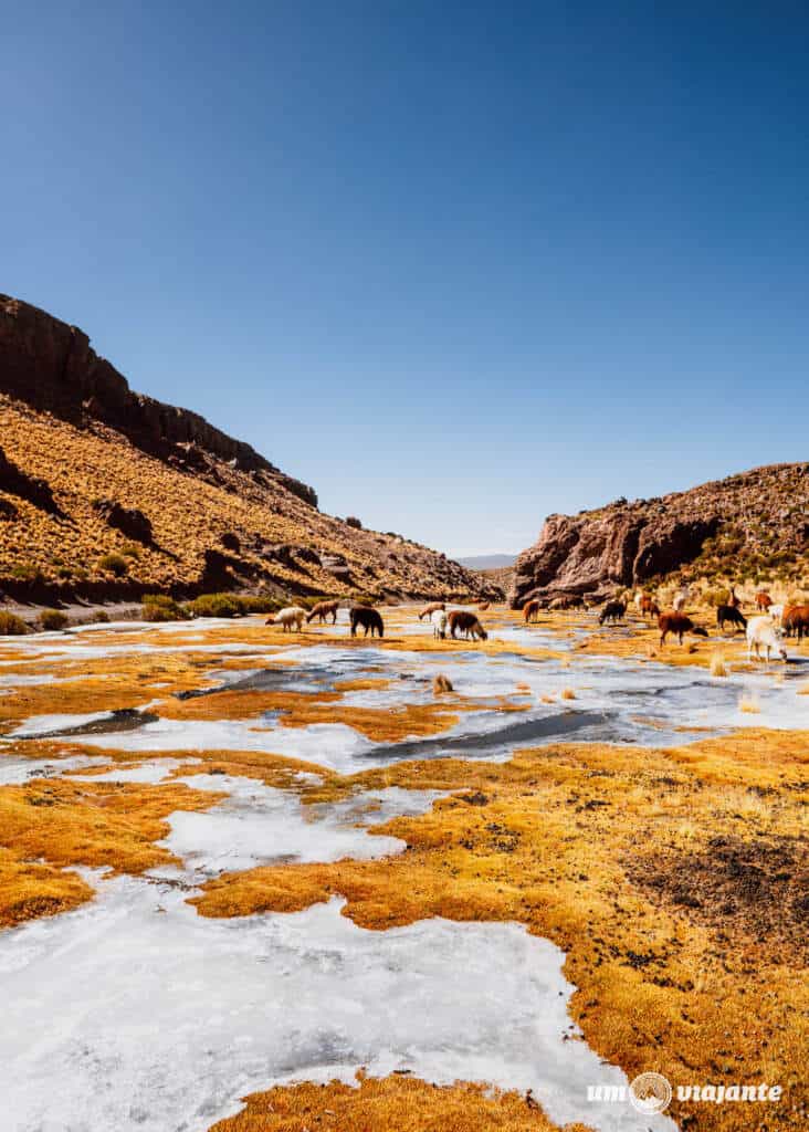 Viagem ao Salar de Uyuni