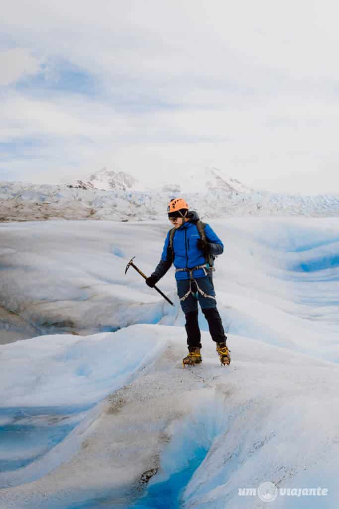 Glaciar Grey, Torres del Paine