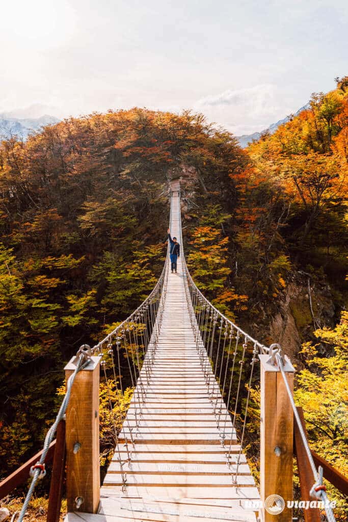 Puentes Colgantes em Torres del Paine