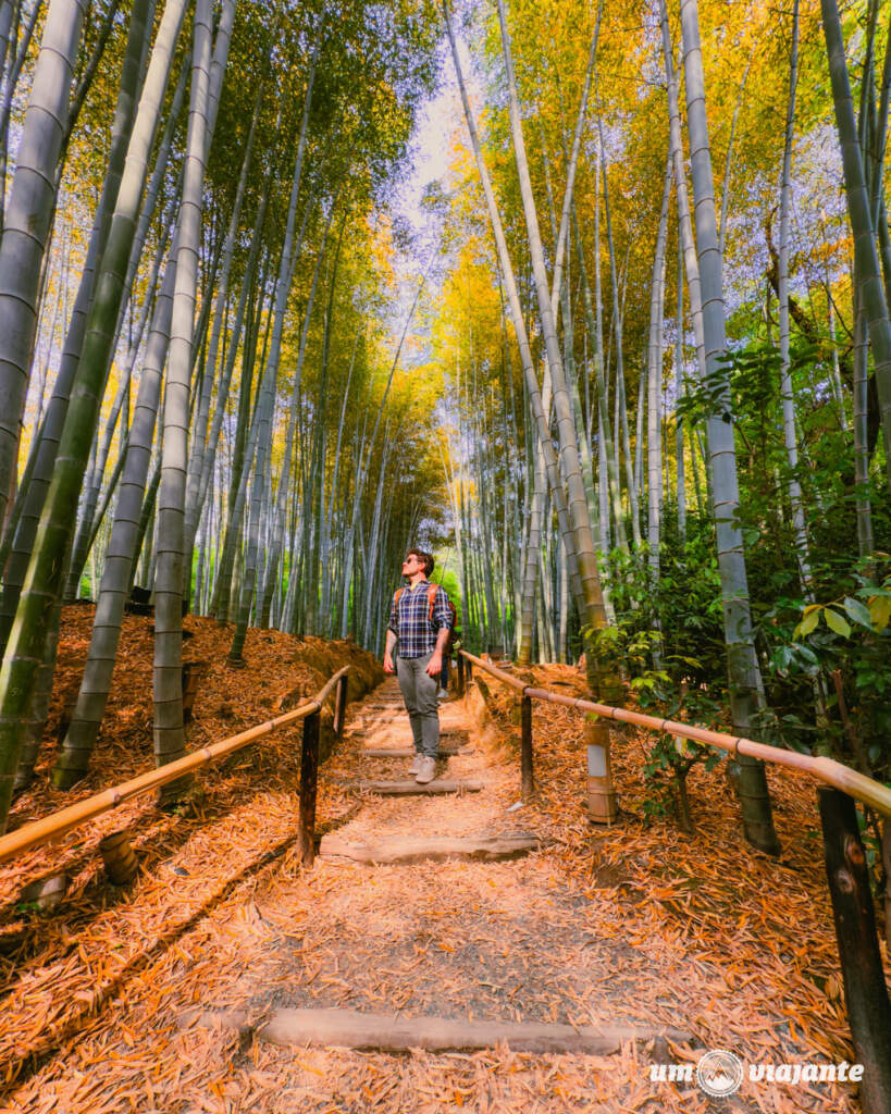 Kyoto Roteiro de Viagem Japão: Dicas, passeios e o que visitar