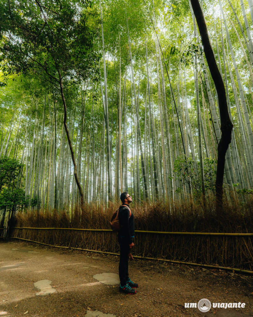 Kyoto Roteiro de Viagem Japão: Dicas, passeios e o que visitar