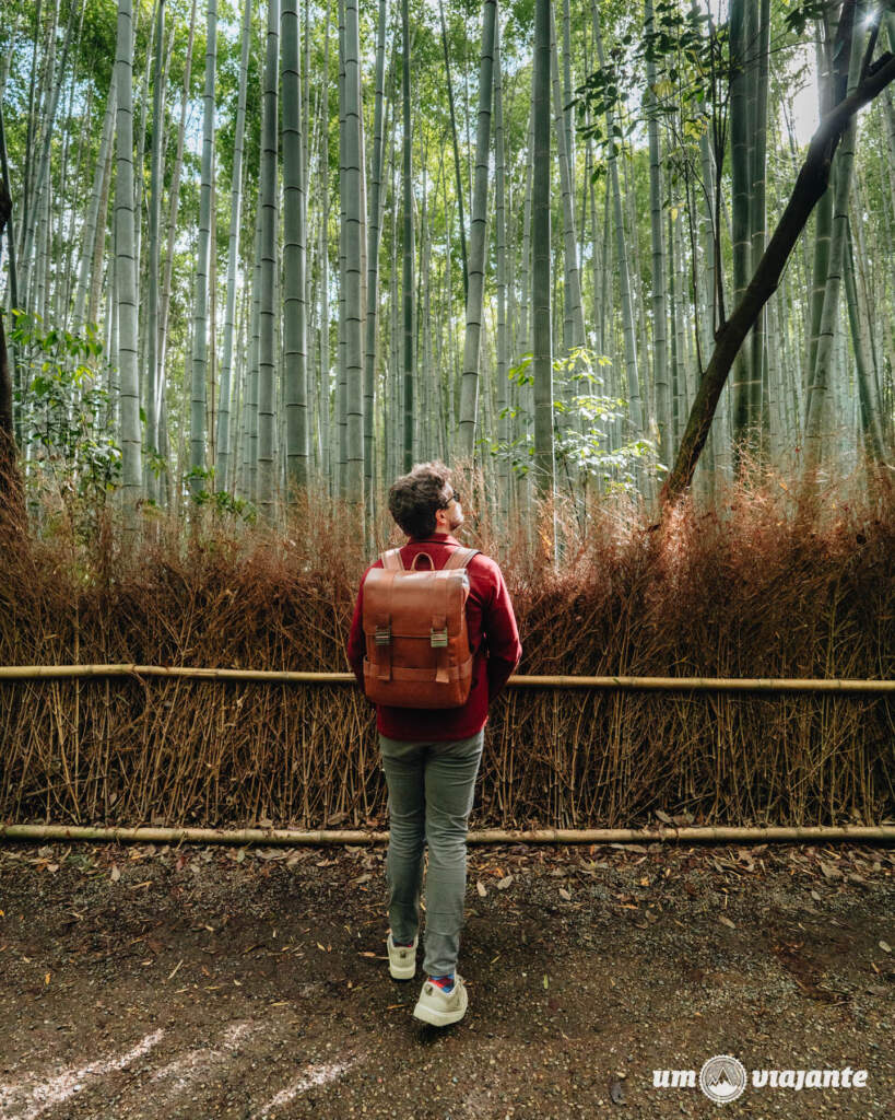 Kyoto Roteiro de Viagem Japão: Dicas, passeios e o que visitar