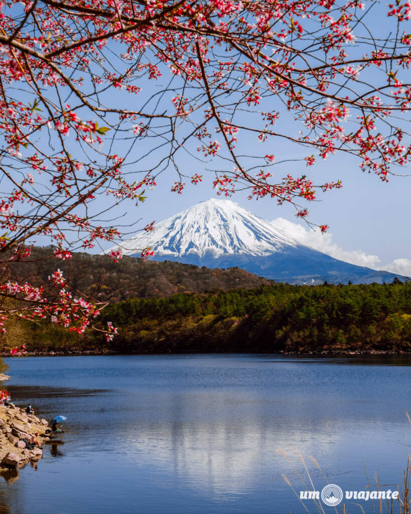 Passeio ao redor do Monte Fuji: Imperdível