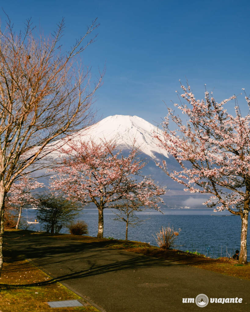 Passeio ao redor do Monte Fuji: Imperdível
