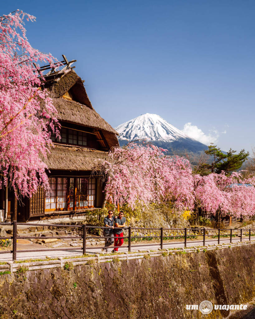Passeio ao redor do Monte Fuji: Imperdível