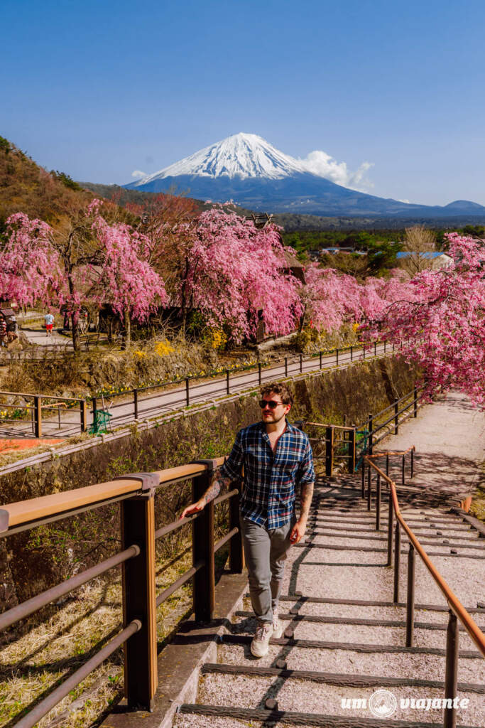 Roteiro Japão 24 dias: cidades, hotéis, transportes e dicas de viagem dia a dia