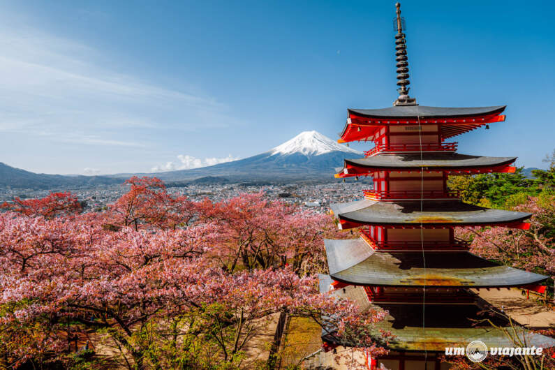 Roteiro Japão 24 dias: cidades, hotéis, transportes e dicas de viagem dia a dia