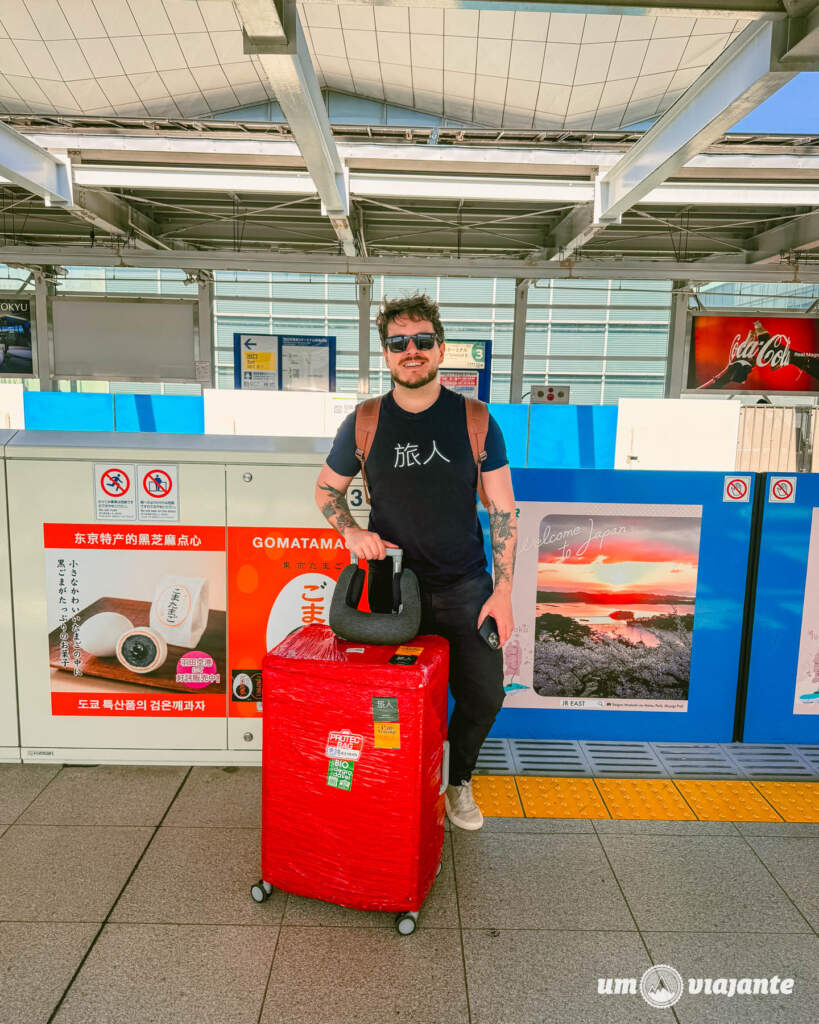 Roteiro Japão 24 dias: cidades, hotéis, transportes e dicas de viagem dia a dia