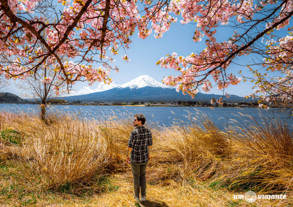 Viagem Japão na Primavera: Sakuras, Fuji e Roteiro