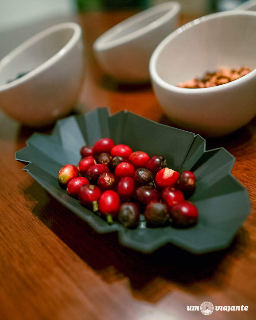 Chumeca Coffee: Fazenda de Cafés Especiais em Copey