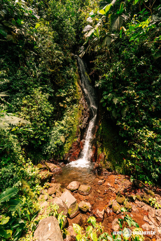 Mistico Arenal Hanging Bridges Park - O que fazer na Costa Rica